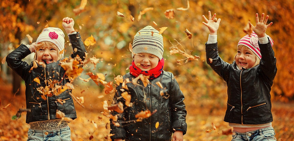 8 promenades automnales à faire en Belgique