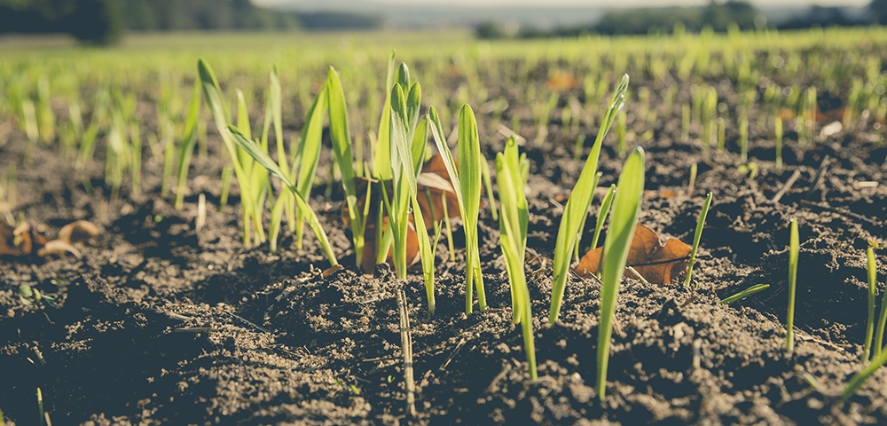 Et si vous passiez au bio ?